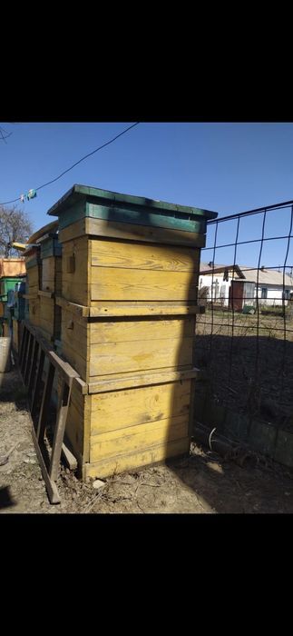 Продам улики 3 корпусный 10 рамочный