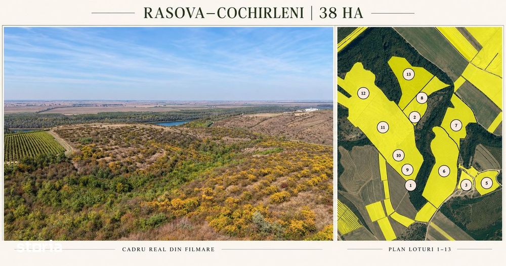 RASOVA Cochirleni Teren extravilan 38 Hectare comasat 100%