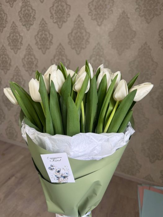 Свежие тюльпаны по 600