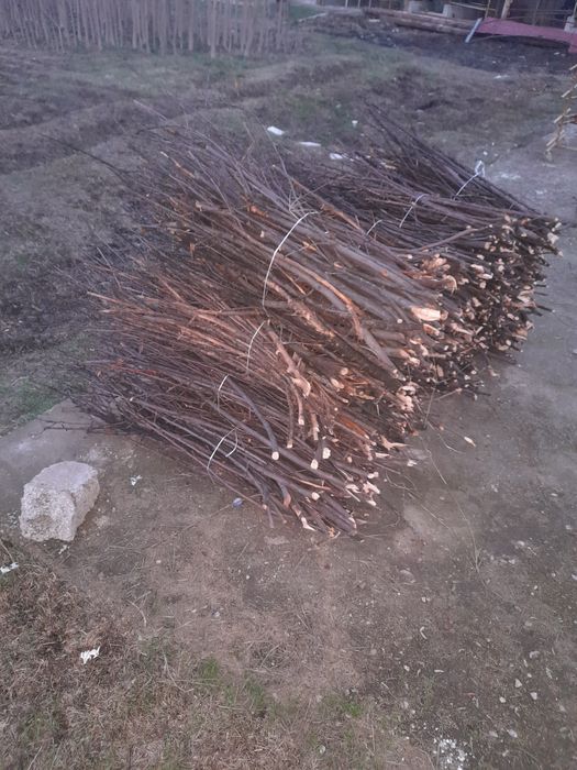 Майда утин богланган