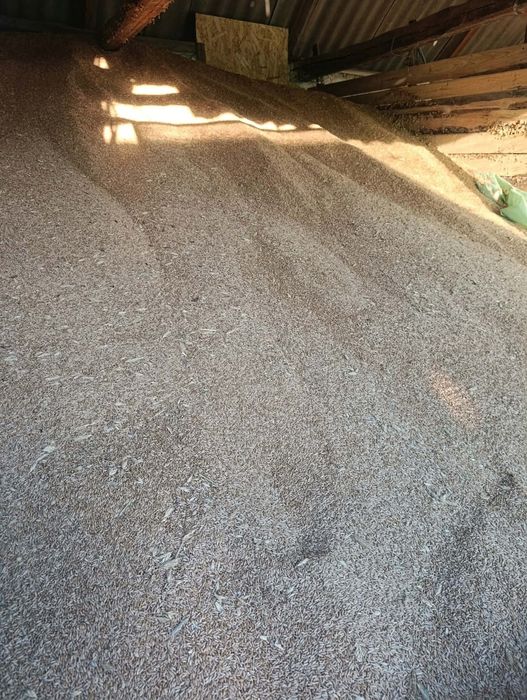 Vand Triticale si Ovaz