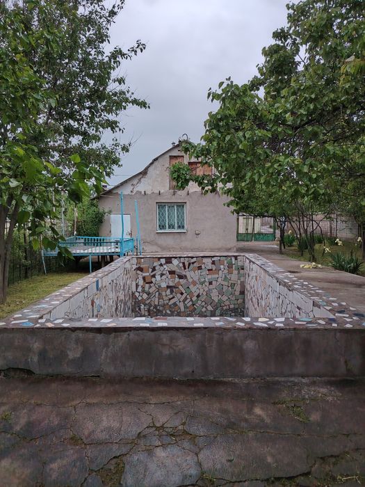Dacha chirchiq daryo