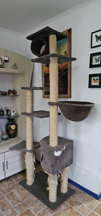 Комплекс для кошек когтеточка