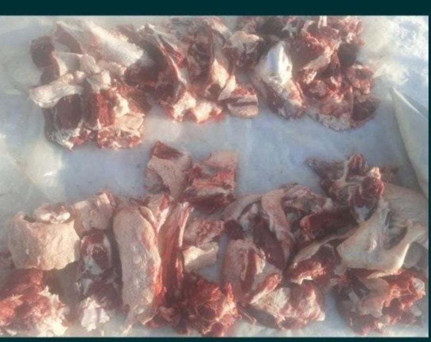 Продам говядину телки жирные.