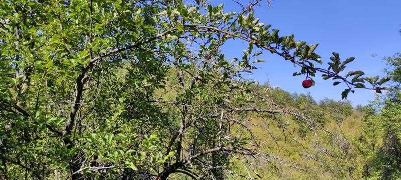 Продават се 3 земеделски имота (поземлени)