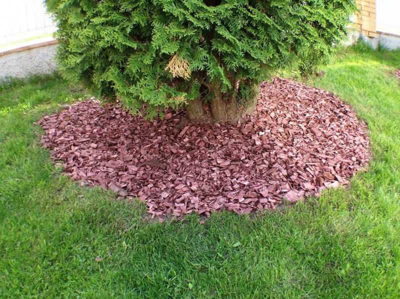 Мульча  оптом и в розницу