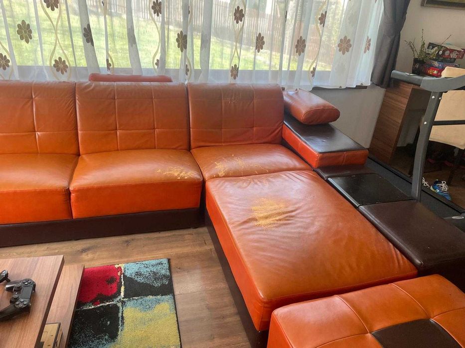 coltar piele urias de vanzare