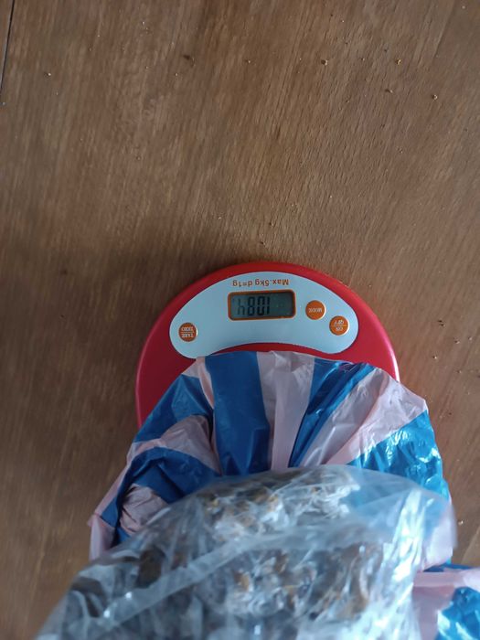 Пчелен прополис, клей