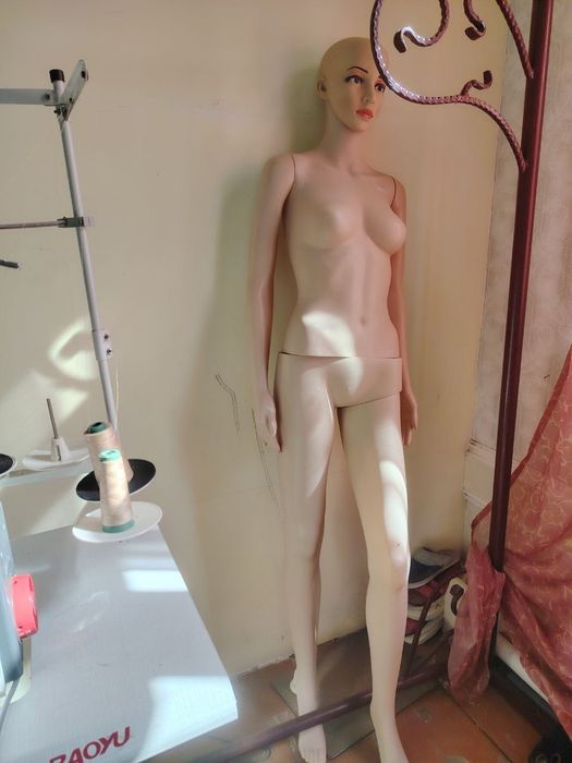Maniken sotiladi