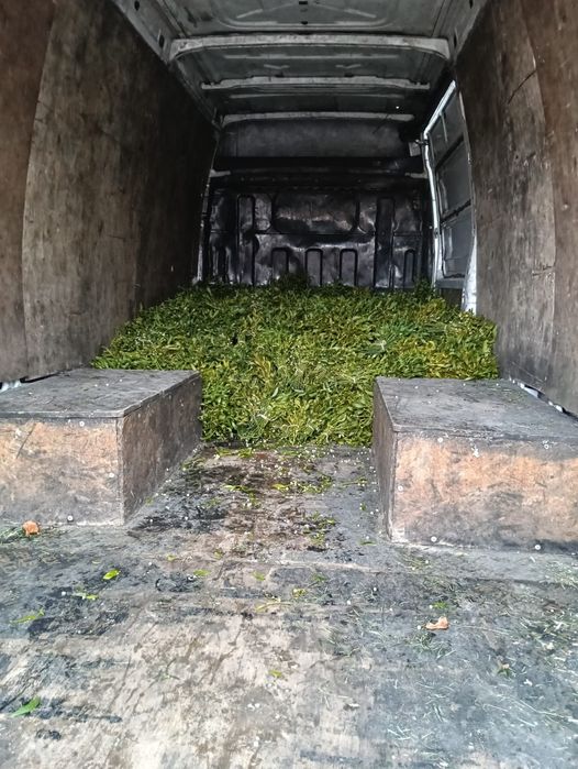 Vând vâsc la buchete