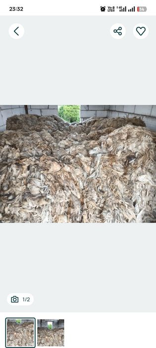 Vand Lana de oaie foarte buna pentru mulcire si izolatie Este tinuta foarte bine in sopron