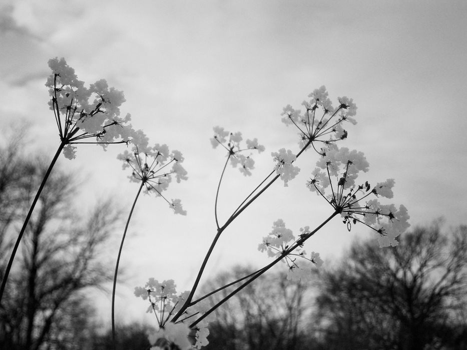 Фотоапарат - Винтидж Снимки - Olympus 14 мегапиксела КАТО НОВ!