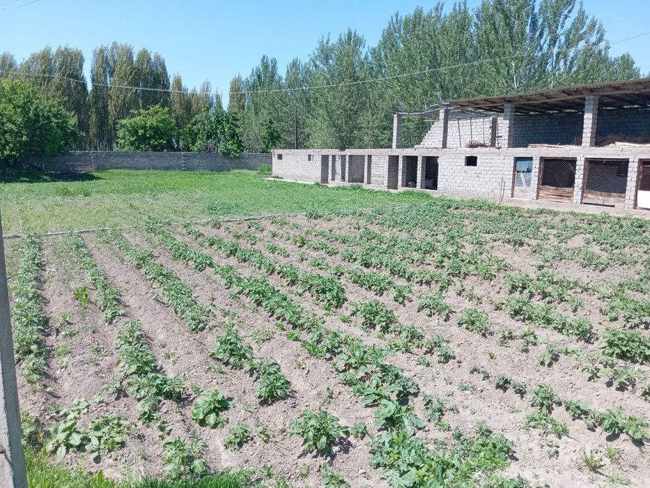 Srochni 24 sotx 2 xonali xovli sotladi.