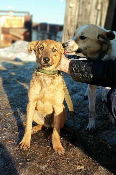 Малышке Броне нужен дом