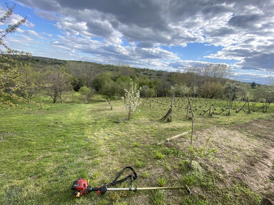 Косене на тревни площи