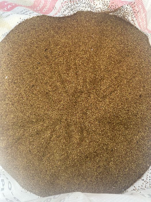 Семена люцерна Жоңышқа ұрық