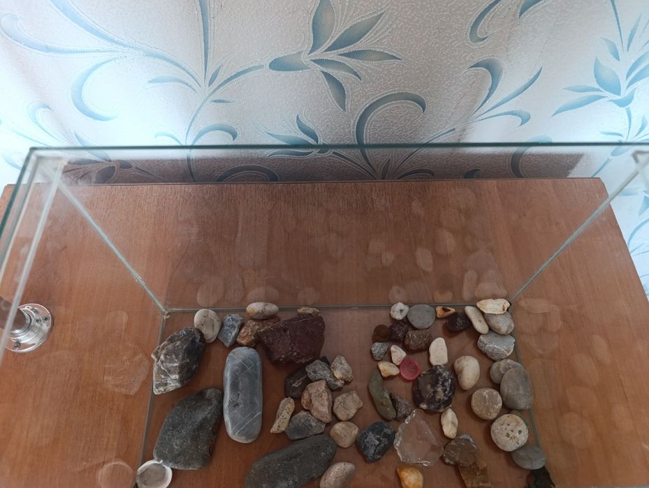 Продам аквариум . На 10 литров.