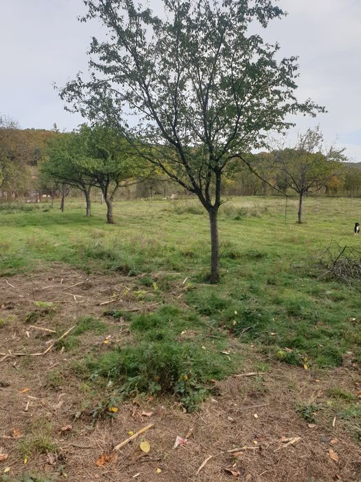 Vând casa Balotesti0724214209