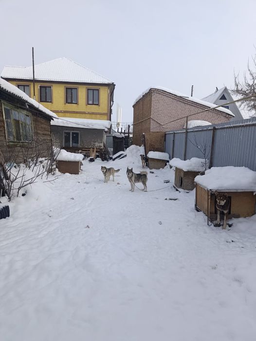 Участок. Пугачева