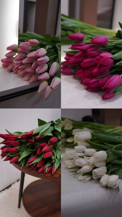 Тюльпаны цветы, по выгодной цене