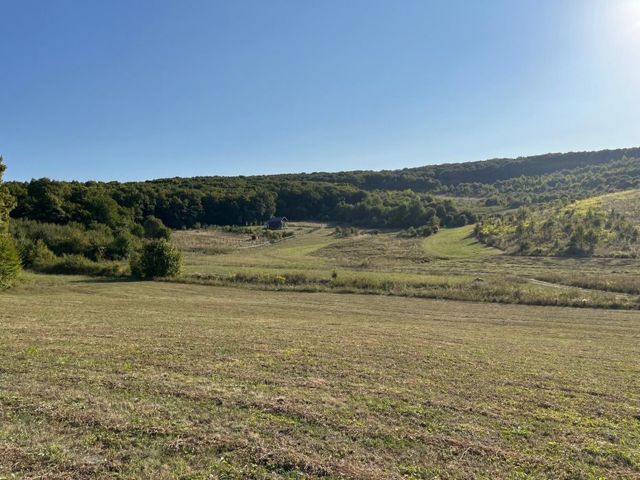 Teren extravilan 65 de ari in Bozeni