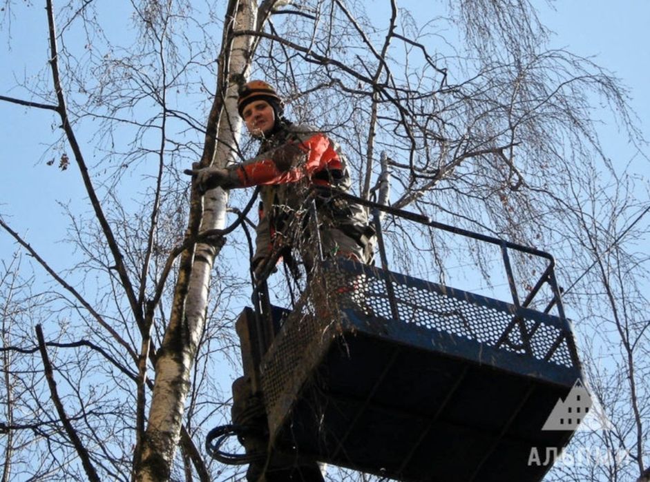 Пилим спиливаем деревья. Ағаш кесу.