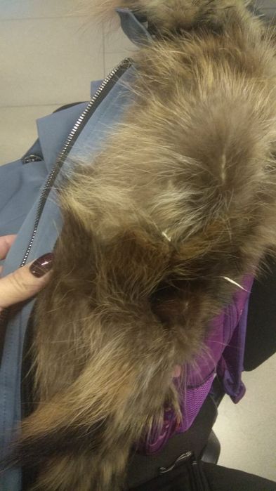 Парка зимняя для девочки