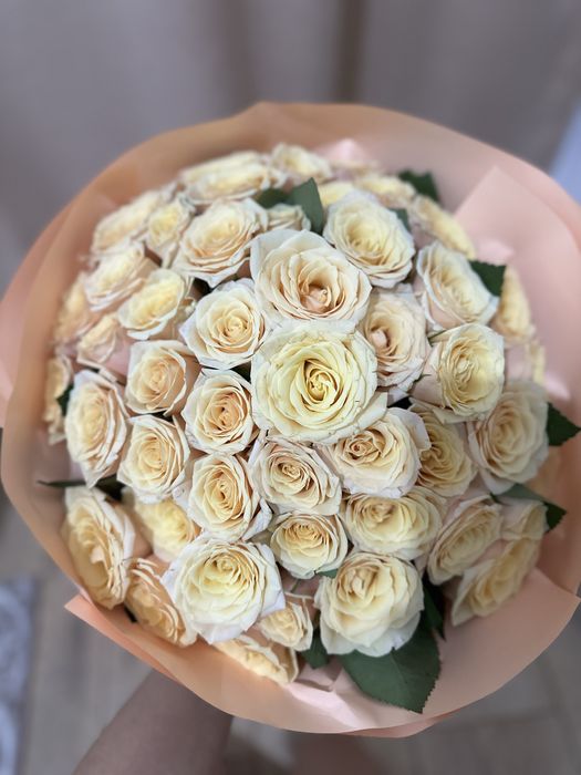 51 штук голландские розы