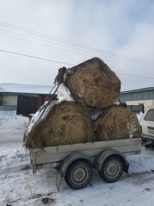 Сено с доставкой