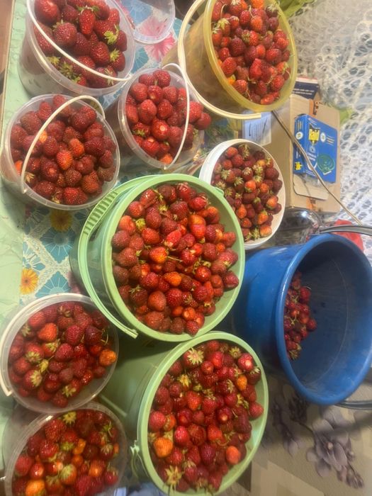 Продам дачный участок