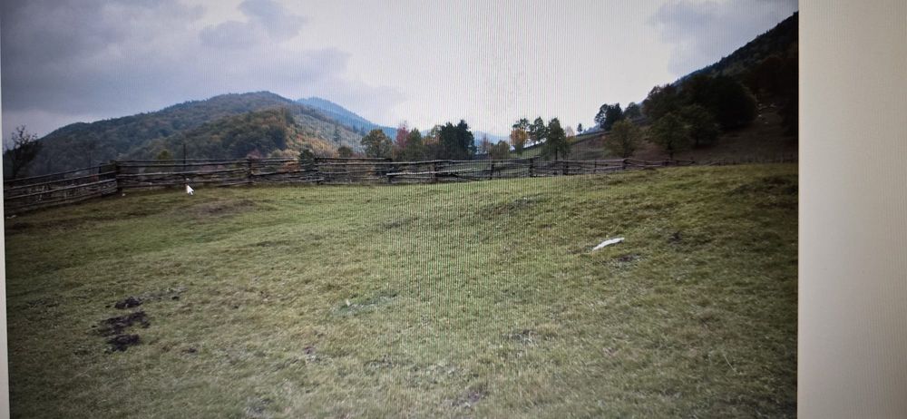 Vand teren Cuiejdi cel mai bun pret 22.000eur