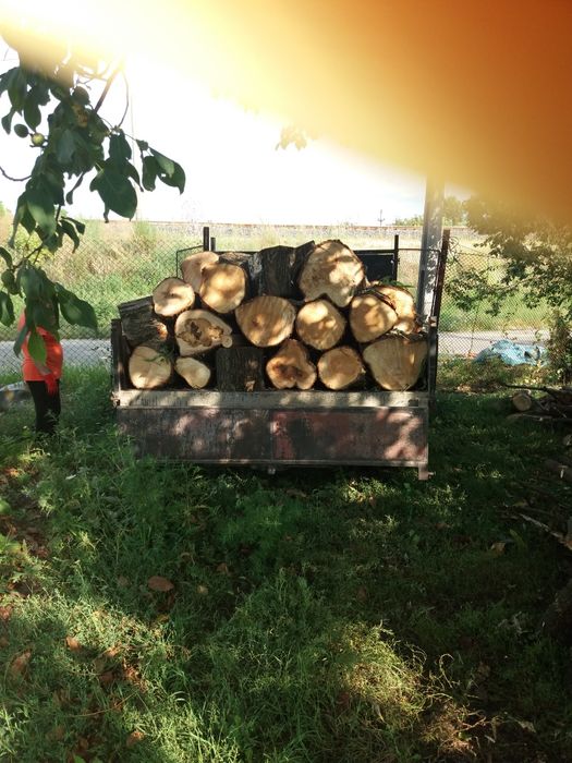 Lemne foc/ deseuri mobila