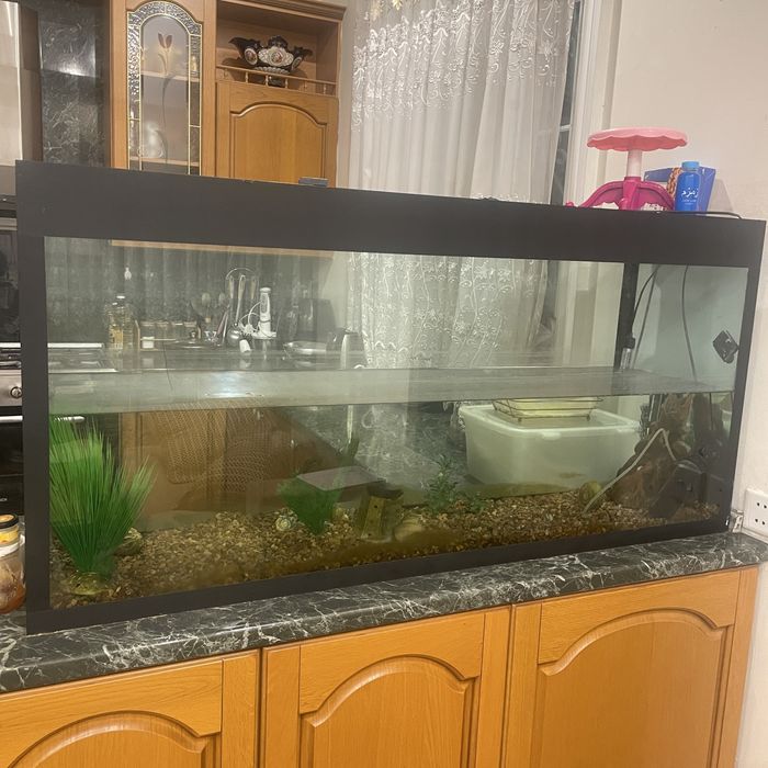 Аквариум большой 100 литров