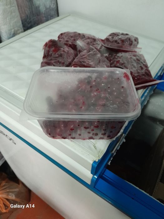 Вишня заморженное. Қатырылған шие сатылады,