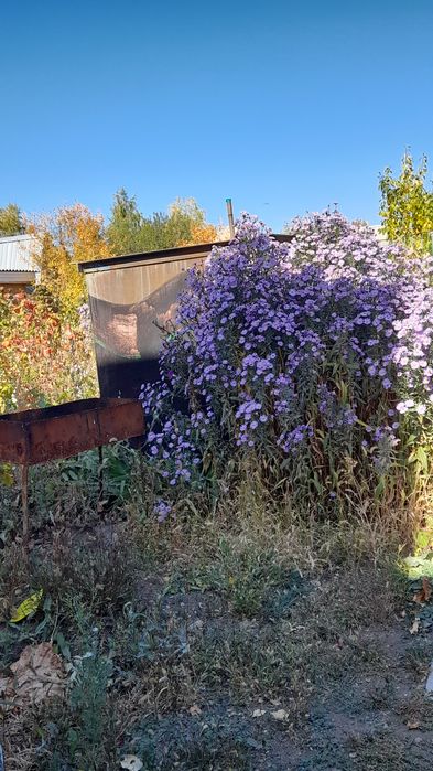 Продам дачу с/о Родник