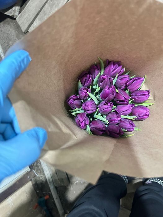 Тюльпаны оптом и в роз