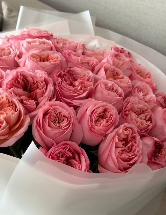 букет цветов из 32 пионовидной розы розового цветы, нежный, цветы.