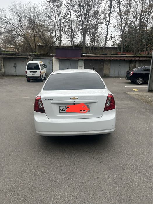 Ласети Jentra elegant +