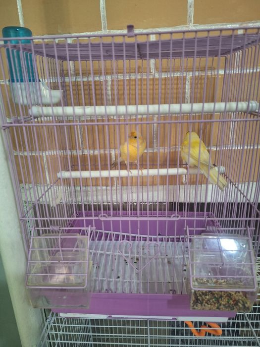 Ассалом алейкум...