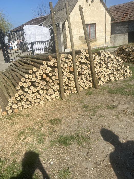 Pari si stalpi de gard electric