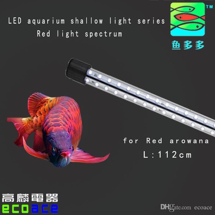 Светодиодная лампа Arowana