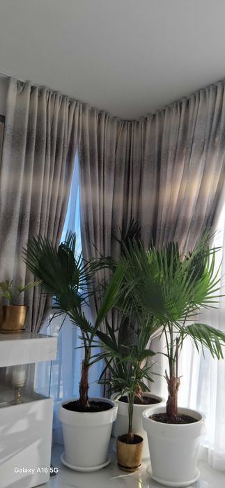 Плътни завеси 8бр. + 8бр. колани за стена