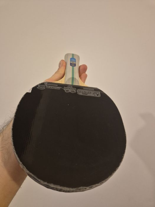 Paletă ping-pong profesională 729 King Bloom