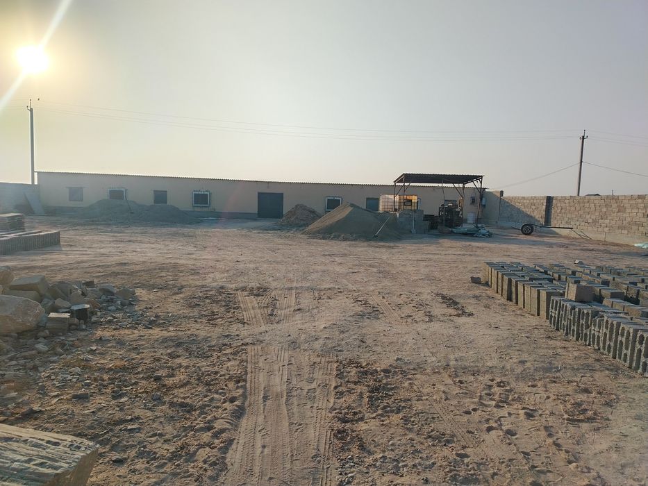 Таййор база безнеслари билан