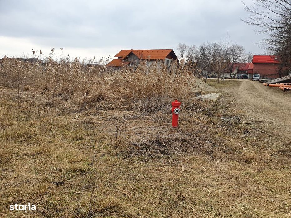 Teren de vanzare Stupini