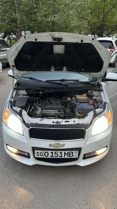 Nexia 3 2019 yil ideal