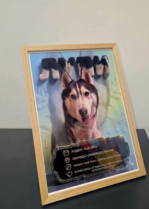 Постер от ваша снимка, за вашият любимец!