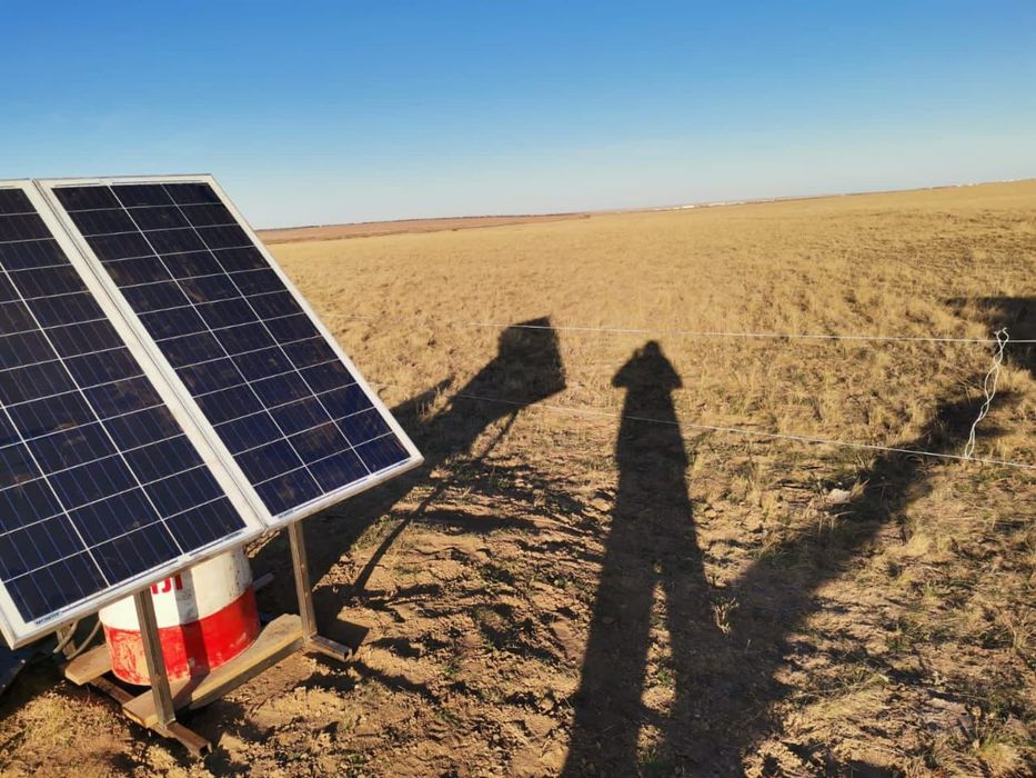 Электропастух Электро пастух арзан