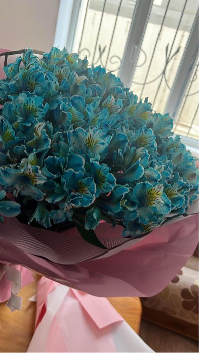 Продам цветы свежие дешево