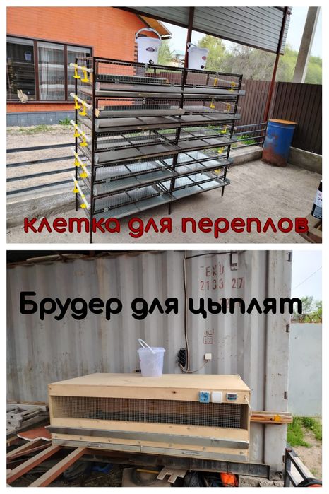 Клетка для ПЕРЕПЛОВ. Брудер для Цыплят.